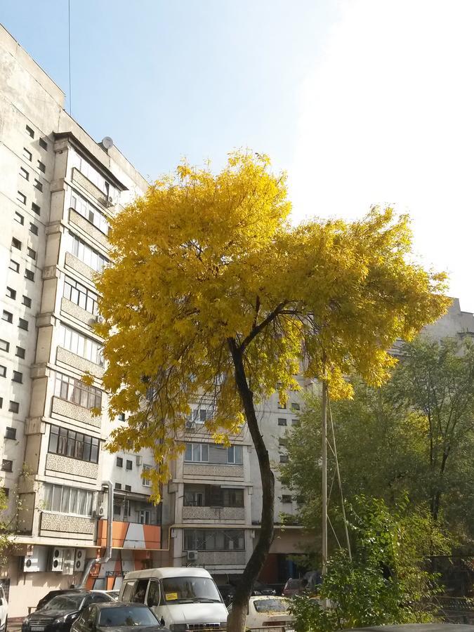 "Арбат" Центр Квартира- Apartment "Arbat" Almaty Luaran gambar